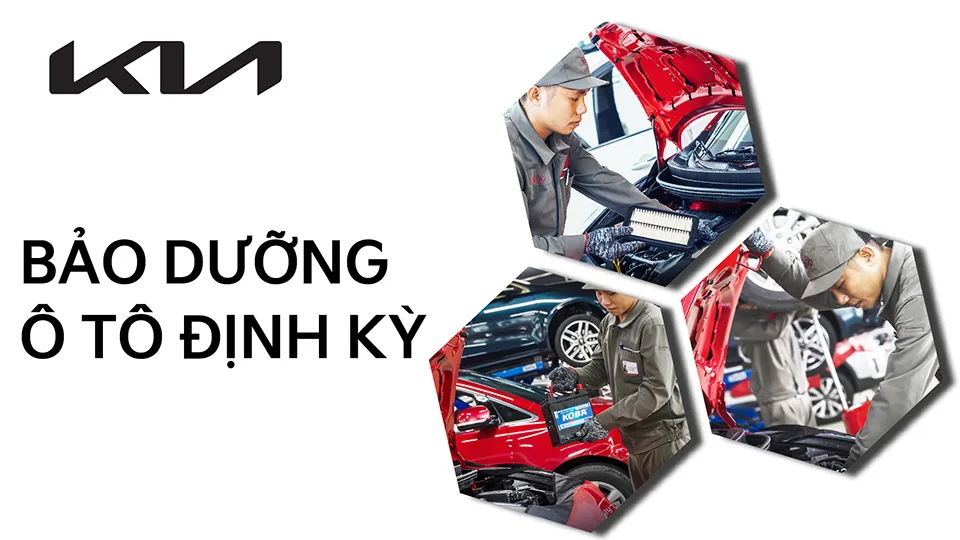 Bảo dưỡng định kỳ